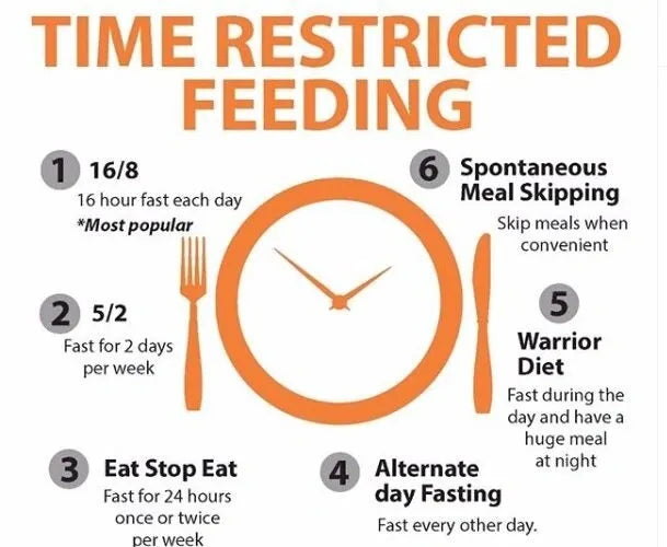Intermittent Fasting for Brain and Body Health