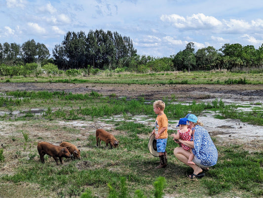 Meat, Greet, and Graze: A Day at Our Ancestors' Foods Farm 12/13/25 10am-12pm (TIER 2)