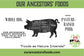 Whole Pasture Raised Hog Share DEPOSIT ONLY PRICE